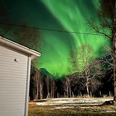 House At بيت للعطل *